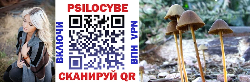Галлюциногенные грибы GOLDEN TEACHER  Кологрив 