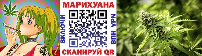 Бошки марихуана семена  Кологрив 